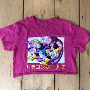 Dragon Ball Z Vegeta and Majin Bu